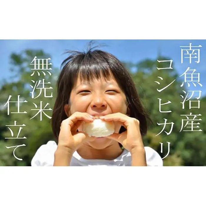 【令和7年産】【無洗米5Kg】吟精  南魚沼産コシヒカリ