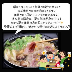 猪肉 三朝町産 ぼたん鍋用 ミックス スライス１ｋｇ