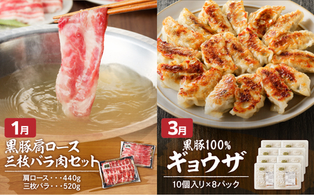 【全6回】「 肉のヨコムラ 」鹿児島県産 黒毛和牛 ・ 黒豚 定期便 （奇数月にお届け） K189-T01 肉 豚肉 牛肉 冷凍