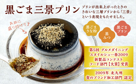 黒ごま 三景 プリン セット 合計6個  黒ごまプリン