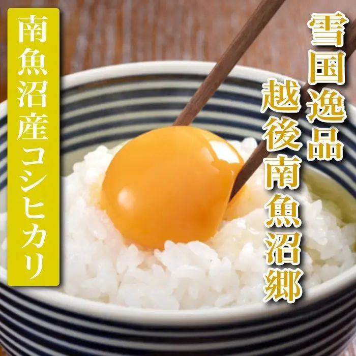 【令和7年産】【定期便 精米10Kg×全3回】雪国逸品 越後南魚沼郷 南魚沼産コシヒカリ【定期便 銘柄米 ブランド米 精米 こしひかり コシヒカリ 魚沼産 新潟米 産地直送 お米 米 こめ コメ ご飯 御飯 ごはん】