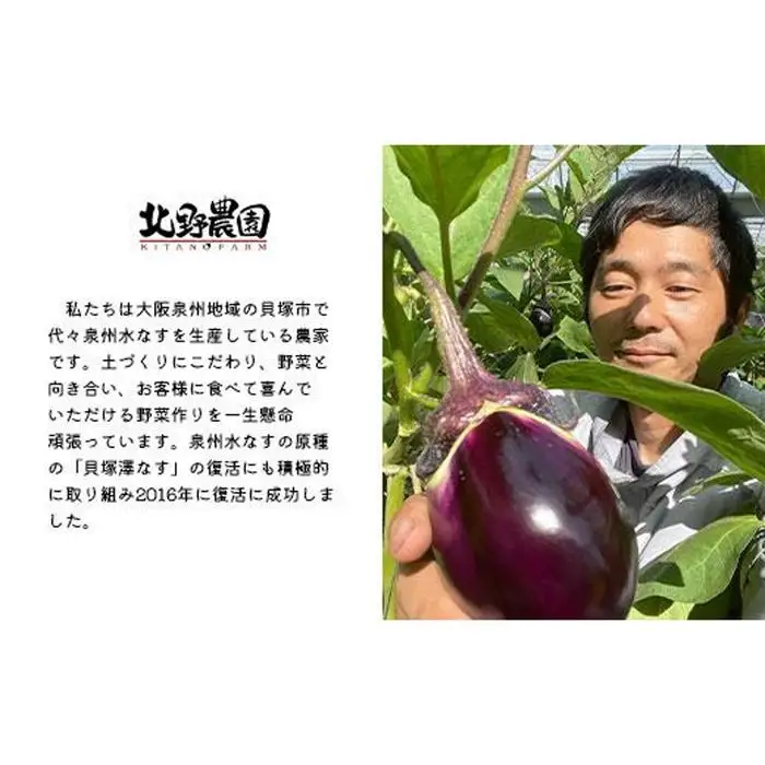 水なす４種１０個セット
