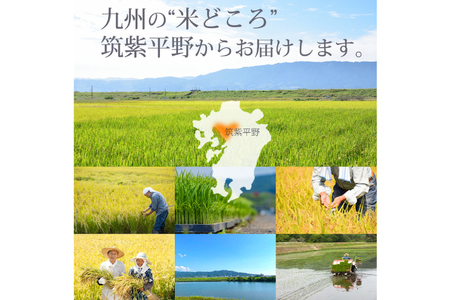 米 令和7年 元気つくし 玄米 5kg × 2袋 計 10kg [ベネフィス 福岡県 筑紫野市 21760853]