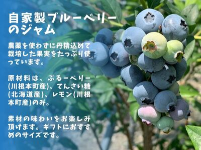 20-19 ぶるーべりージャム