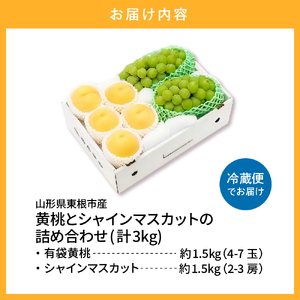 【2026年産】東根産 黄桃&シャインマスカット3kg秀品 桃 ぶどう