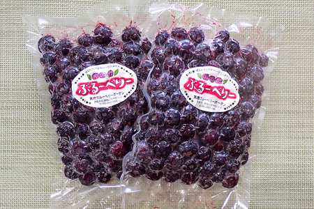 【男鹿ぶるーべりーガーデン】 冷凍ブルーベリー 250g×2パック（合計500g）秋田県 男鹿市