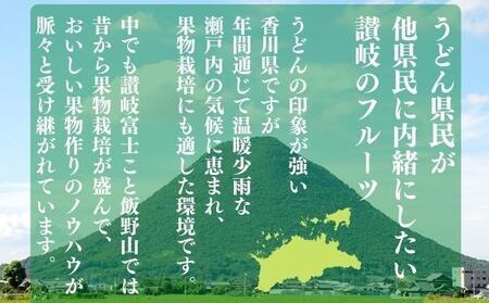 【百果繚乱】【定期便 12ヶ月】 果物定期便 果物定期便 フルーツ