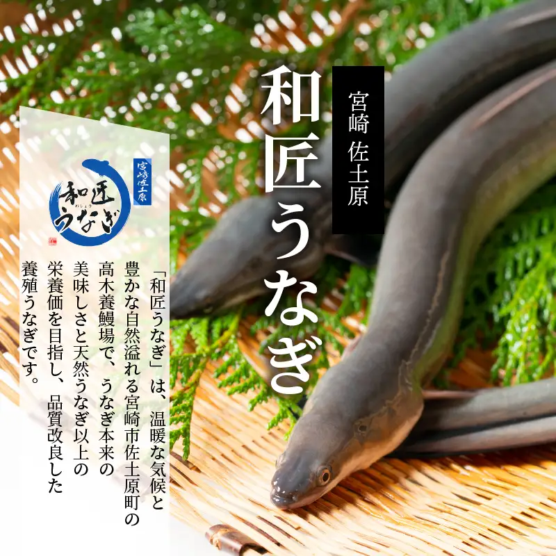 うなぎ 蒲焼 うなぎ[国産 3尾 和匠 備長炭手焼き 450g]