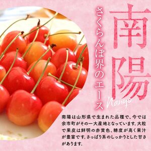 《2026年産先行受付》北海道産さくらんぼ【南陽】2L～3Lバラ詰め 180g×4 サクランボ 果物 フルーツ 季節限定_Y074-0144