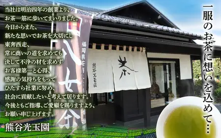 ＜八女茶＞　お茶の光玉園　煎茶「光（ひかり）」１００ｇ【メール便】 ポスト投函 簡易包装 訳あり 049-009