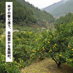 ゆずの村酒造・辛口/500ml×6本 果実酒 リキュール