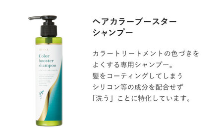 ヘアカラートリートメント 3点セット ダークブラウン 瑞浪市 / 生活の木 瑞浪ファクトリー直送 シャンプー ヘアケア [AZBE028]