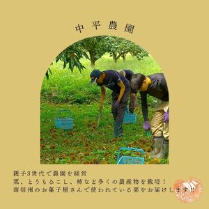 生栗「ぽろたん」約2kg  2026年9月中旬発送