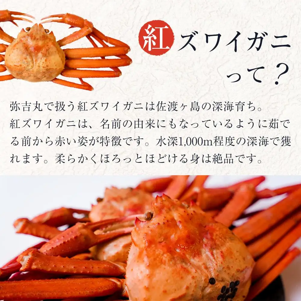 【ふるさと納税】佐渡島直送！浜茹で紅ズワイガニむき身（500ｇ/約20杯分使用）