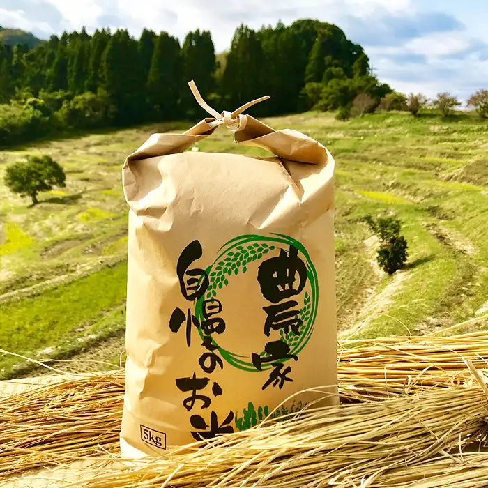 【棚田保全支援】大山千枚田の天水田育ち『棚田米』定期便 ５kg×５カ月《精米》　[0084-0003]