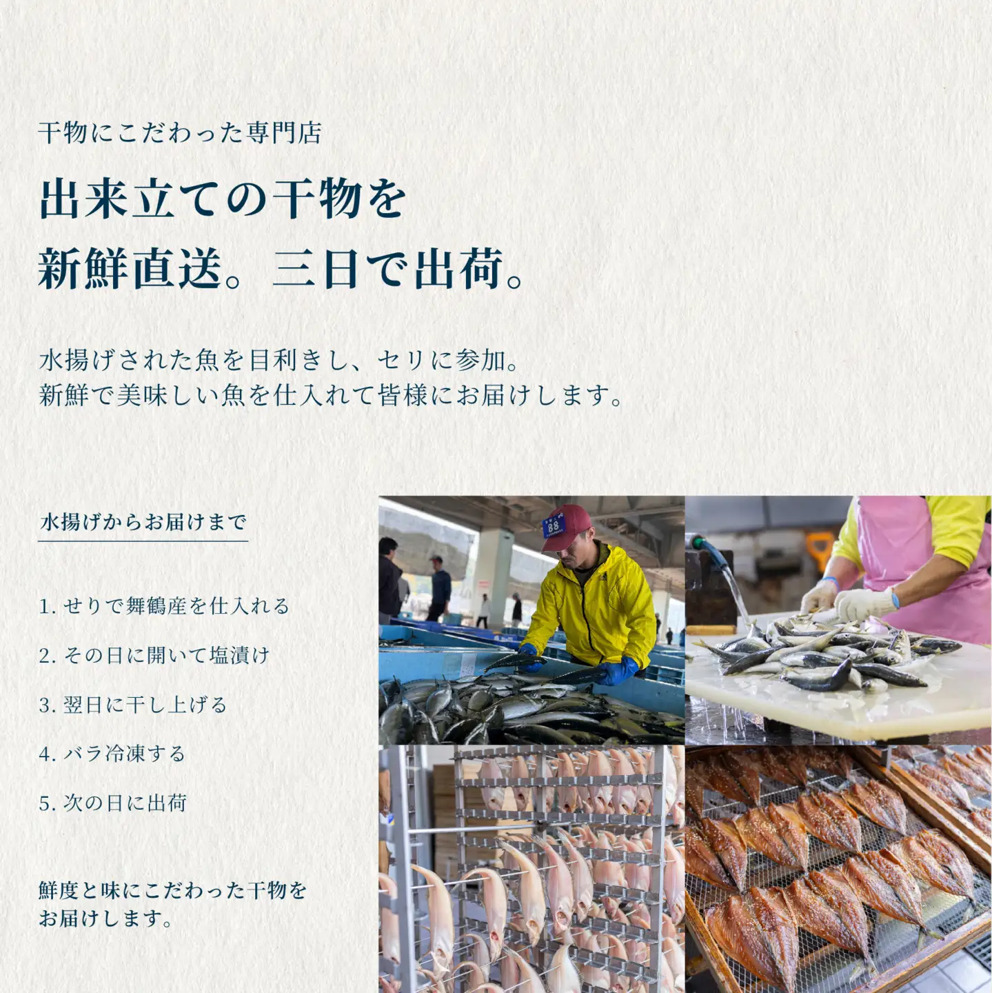 【訳あり】 干物 約2.8kg 詰め合わせ 干物