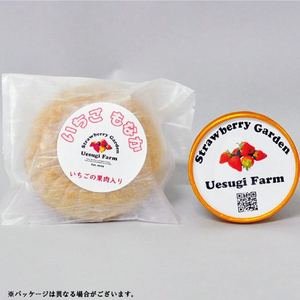 上杉農園のいちごアイスクリーム　カップアイスとモナカアイスのセット