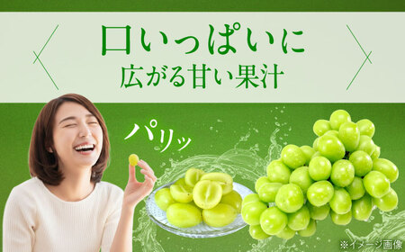【先行予約】シャインマスカット 約2kg1箱（4房から6房） BKCW005 マスカット