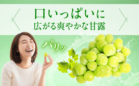 【先行予約】瀬戸ジャイアンツ 約2kg1箱（4房から6房） BKCW001 ぶどう