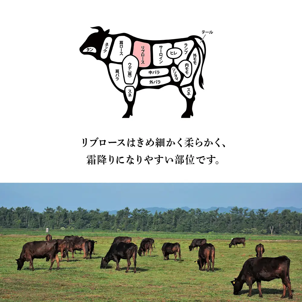 【定期便 12カ月】 北海道 白老産 黒毛和牛 リブロース すき焼き 500ｇ (2・3人前) BS043