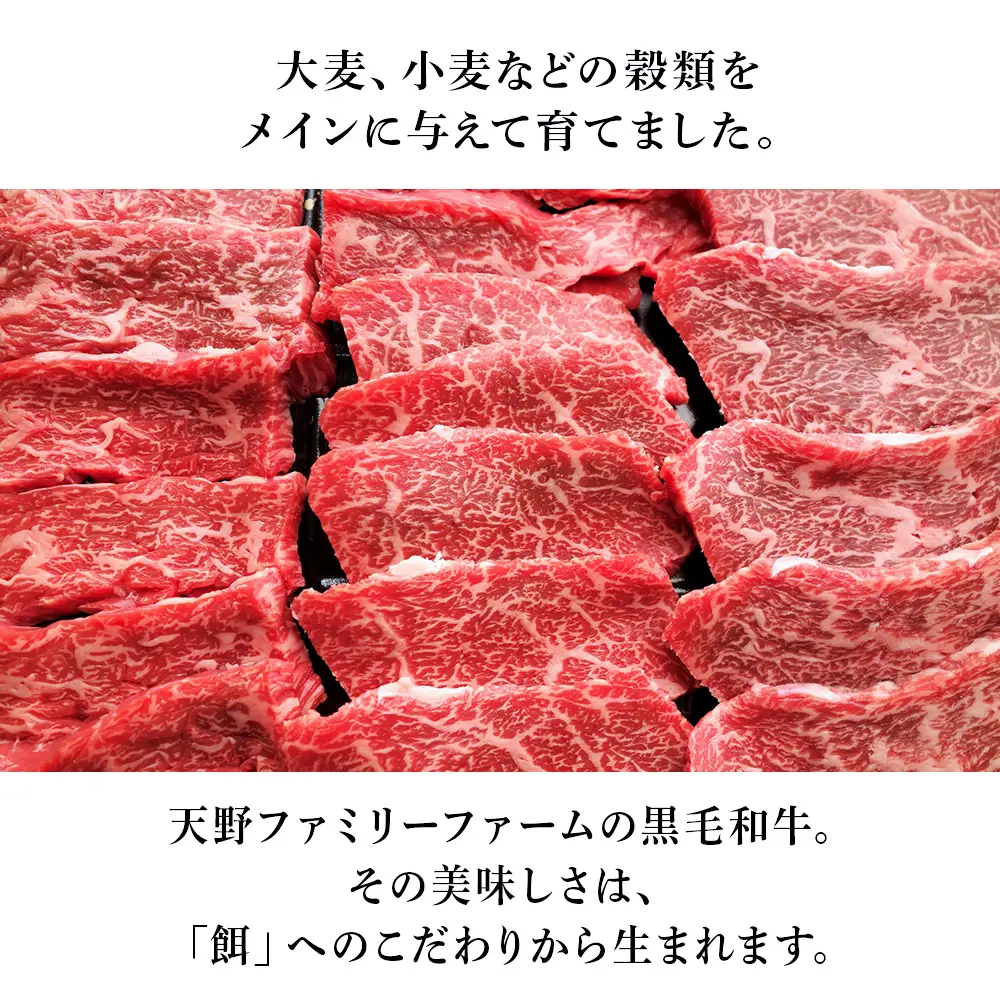 【定期便 12カ月】 北海道 白老産 黒毛和牛 特上 モモ 焼肉 500ｇ (2・3人前) BS046