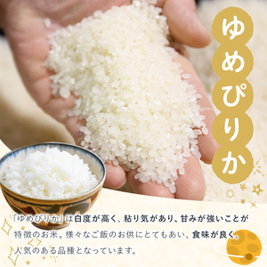 《令和8年産新米 先行予約》北海道 士別市産 満月農園のゆめぴりか(5kg×2袋・計10kg) 【2026年11月以降発送】 新米 米 お米 北海道米 ゆめぴりか 5kg 10kg 白米 ごはん コメ こめ 満月米 【満月農園】【C7074-2611】