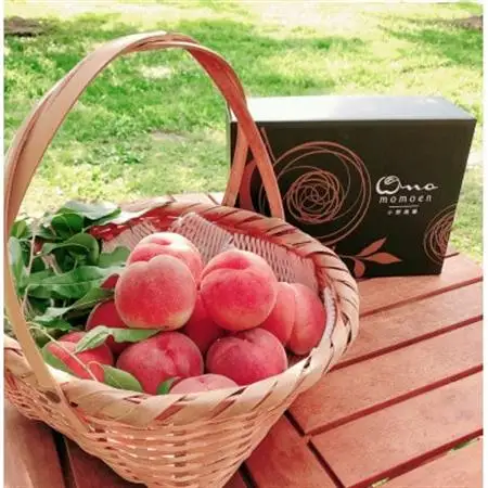 【一流レストランの味を自宅で堪能】贅を極めた樹上完熟桃ギリギリ限界まで完熟2026年8月上旬より発送【配送不可地域：離島・北海道・沖縄県・中国・四国・九州】【1459514】