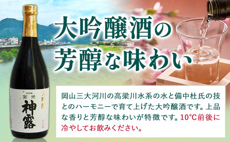 大吟醸と純米吟醸の飲み比べセット 神露 大吟醸 純米吟醸 720ml 各1本 計2本 《90日以内に出荷予定(土日祝除く)》 清酒神露醸造元 神露酒造株式会社 岡山県 浅口市 日本酒 酒