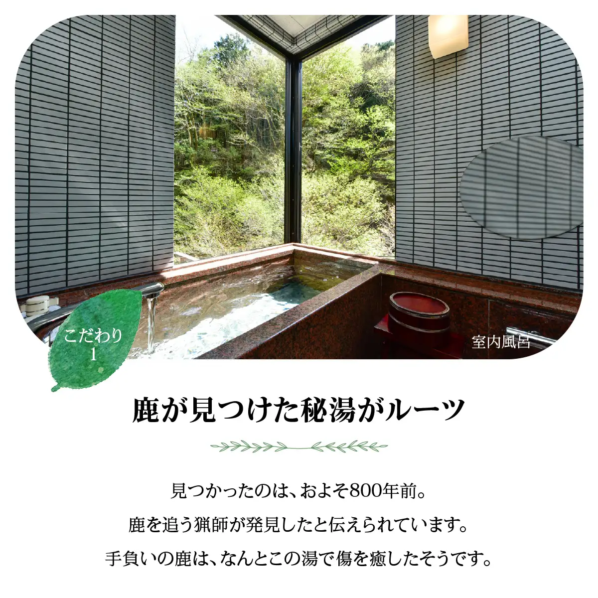 【名栗温泉 大松閣】温泉内湯付き特別室1泊2食付ペア宿泊券 旅行 伝統的 旅館 もてなし 四季折々 美しい 景色 こだわり 自家源泉 展望大浴場 快適 施設 リフレッシュ キッズスペース HNNG009