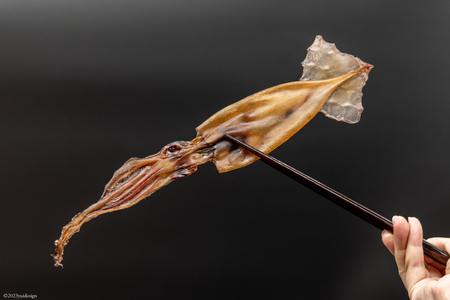 干物 丸干しいか 5～10枚 白化粧箱入り [西海水産 石川県 志賀町 AB4127]