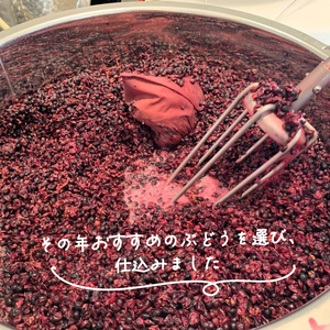 -大船渡で造るワイン- 赤白ワイン（メルロ / ピノ・グリ）2本セット 辛口 750ml お酒 アルコール ぶどう 葡萄 岩手県 大船渡市