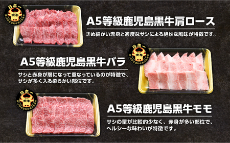「 JA の お肉屋さん 」A5等級！鹿児島黒牛 焼肉セット（ 計900g ） K234-001 肉 牛肉 冷凍