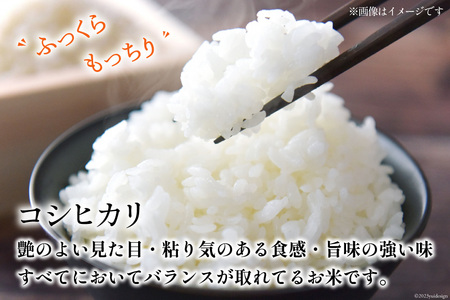 【期間限定発送】 米 令和7年 コシヒカリ 白米 900g(6合) [みどりの波 石川県 宝達志水町 38601231]