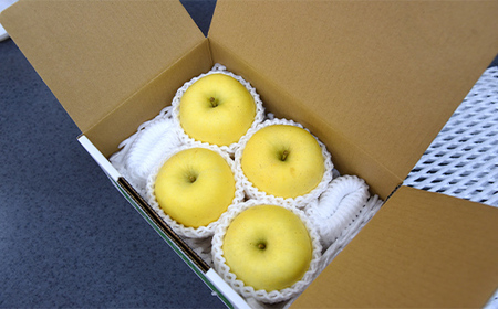 【2026年度先行予約】山形県産 りんご はるか 秀品 1kg FSY-0877