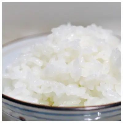 ＜令和7年産＞ 元気つくし 無洗米 2kg×3袋【ご飯 米 お米 小分け 筑前町 福岡県 AB010】