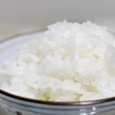 ＜令和7年産＞ 元気つくし 無洗米 2合 真空パック 10袋【ご飯 米 お米 小分け 筑前町 福岡県 AB015】
