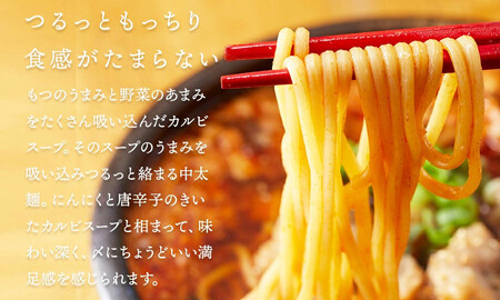 【広陵町×曽爾村連携返礼品】もつ鍋特製赤スープ 2人前と曽爾高原ビール6本セット /// もつ鍋 もつなべ てっちゃん 人気 クラフトビール