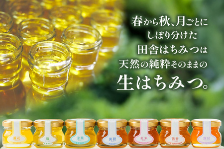 季節で移ろう田舎はちみつ7種ぷちギフトセット 結蜜 Musubi-S7 茨城県共通返礼品 五霞町生ハチミツ 非加熱 茨城県産