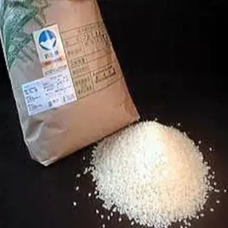 【令和7年産】【6か月定期便】特別栽培米 コシヒカリ 5kg×6回 新潟県認証 新潟県 米 こめ コメ 白米 精米 さいとう農園 1G15121