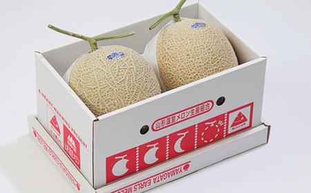 【先行予約 2026年度発送】♪フルーツ王国山形♪ アールスメロン メロン デザート フルーツ 果物 くだもの 果実 食品 山形県 FSY-2558