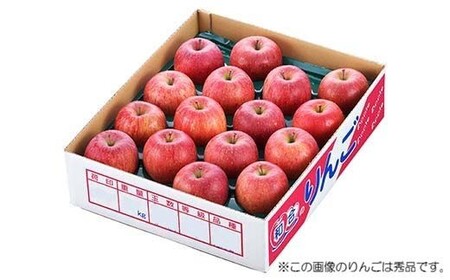 【先行予約 2026年度発送】♪フルーツ王国山形♪ サンふじりんご ご家庭用 5kg りんご リンゴ 林檎 デザート フルーツ 果物 くだもの 果実 食品 山形県 FSY-2711