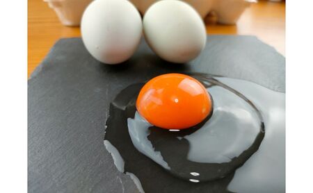 幸せの青い卵 アローカナ 20個 セット 詰め合わせ 青い卵 珍しい さっぱり 臭み オレンジ ゆで卵 生卵 美味しい 卵かけごはん たまご 卵 玉子 卵かけご飯 TKG 鶏卵 高級卵 静岡 静岡県 森町