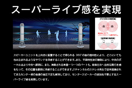 スピーカー オーディオ アンプ 全方位 無指向性 Egretta エグレッタ TS1000 TA1000 タワー型 オオアサ電子 アンプ非搭載 アンプセット_OE025_009