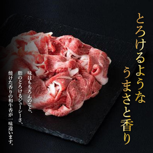 近江牛 切り落とし 500g / 切り落し 切りおとし 牛肉 お肉 肉 高級 三大和牛 国産牛 国産 小間肉 小間切れ 小間切れ肉 冷凍 滋賀県 大津市 すき焼き しゃぶしゃぶ