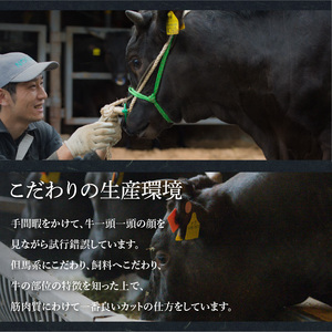 近江牛 ヒレ ステーキ 2枚（合計240g）