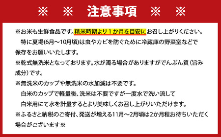 さがびより 無洗米 5kg