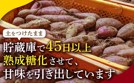 熟成紅はるか約5kg サイズバラバラ さつまいも密芋サツマイモ ZCN017