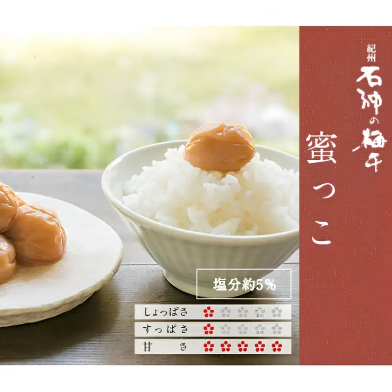 みんな元気セット（梅搾り490ml、うす塩味梅干250g、はちみつ梅干（蜜っこ）250g） / 和歌山 田辺市 紀州南高梅 南高梅 梅干し 梅干 梅 うめ 肉厚 お米 おにぎり 健康 うす塩味 はちみつ梅 梅シロップ うめシロップ セット 詰合せ【isg031-1】