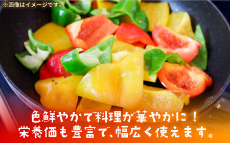 【肉厚ジューシー】五島のパプリカ 約3.6kg 五島市/HPIファーム  [PCP010]  野菜 やさい 国産 新鮮 緑黄色野菜 産地直送 とれたて