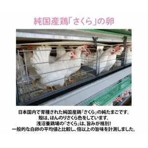 純国産鶏 卵 定期便【さくら】純たまご30個入り 破損保証5個を含む【3ヶ月連続お届け】 (AJ028)  国産 たまご 産地直送 飼料にこだわった 玉子  鶏卵
